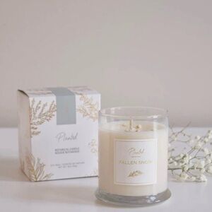 Botanical Candle | Planted | Fallen Snow Scent